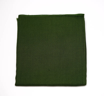 Cashmere Ring Shawl - Multiple Colors Available - Griha Threads & Treasure