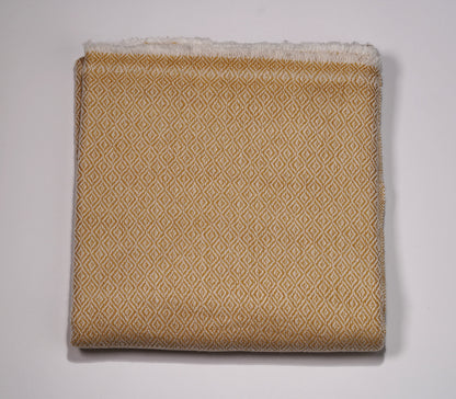 Pashmina Shawl made from Exclusive Cashmere- Various Designs and Colours - Griha Threads & Treasure